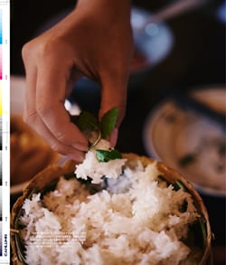 Issue 4 / Classic & Local “鳥越”