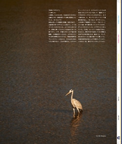 Issue 5 / Classic & Local “京都と、ちょっと東京”