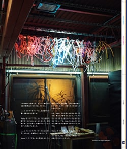 Issue 5.1 改訂版 / Classic & Local “京都と、ちょっと東京”