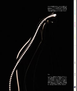 Issue 5.1 改訂版 / Classic & Local “京都と、ちょっと東京”