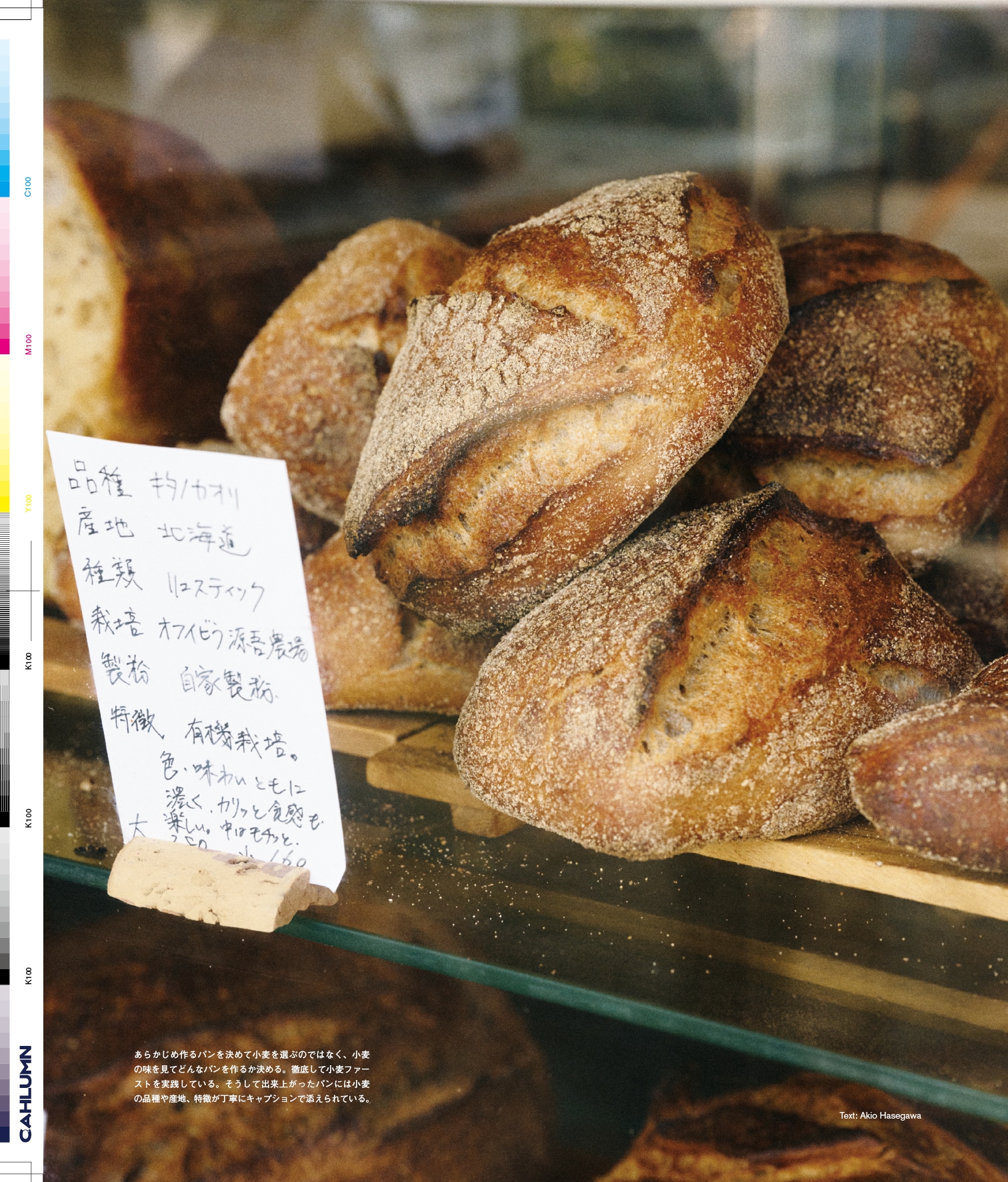 Issue 5.1 改訂版 / Classic & Local “京都と、ちょっと東京”