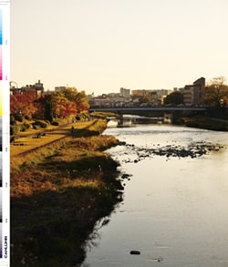 Issue 5.1 改訂版 / Classic & Local “京都と、ちょっと東京”