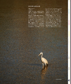 Issue 5.1 改訂版 / Classic & Local “京都と、ちょっと東京”