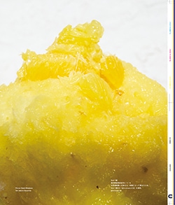 Issue 5.5 / Classic & Local “夏の服とコラージュ、メルボルンのベッキーと仲間たち”