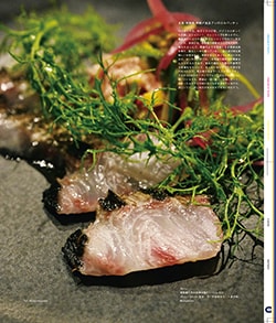 Issue 6 / Local & Natural “御茶の水と僕の好きな店。そして京都、城崎温泉へ。”