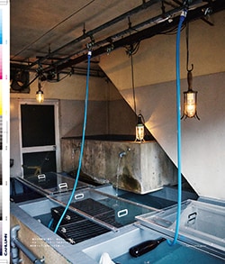 Issue 6 / Local & Natural “御茶の水と僕の好きな店。そして京都、城崎温泉へ。”