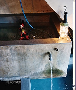 Issue 6 / Local & Natural “御茶の水と僕の好きな店。そして京都、城崎温泉へ。”