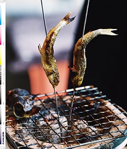 Issue 6 / Local & Natural “御茶の水と僕の好きな店。そして京都、城崎温泉へ。”