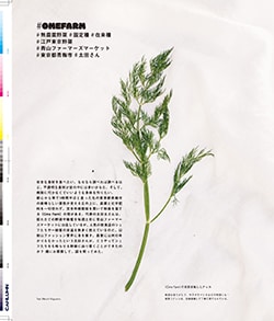 Issue 6 / Local & Natural “御茶の水と僕の好きな店。そして京都、城崎温泉へ。”