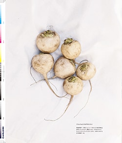 Issue 6 / Local & Natural “御茶の水と僕の好きな店。そして京都、城崎温泉へ。”