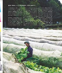 Issue 6 / Local & Natural “御茶の水と僕の好きな店。そして京都、城崎温泉へ。”