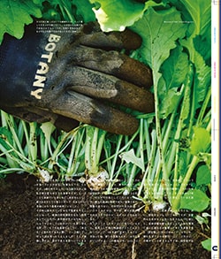 Issue 6 / Local & Natural “御茶の水と僕の好きな店。そして京都、城崎温泉へ。”