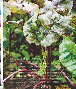 Issue 6 / Local & Natural “御茶の水と僕の好きな店。そして京都、城崎温泉へ。”