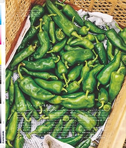 Issue 6 / Local & Natural “御茶の水と僕の好きな店。そして京都、城崎温泉へ。”