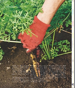 Issue 6 / Local & Natural “御茶の水と僕の好きな店。そして京都、城崎温泉へ。”