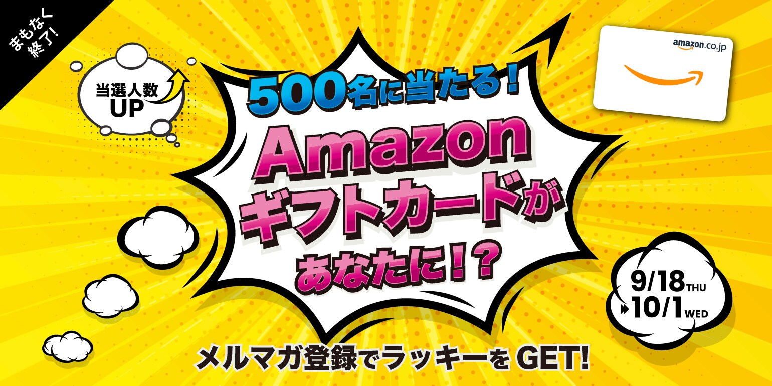 ★HOLIDAY フリークスストア別注 クラシックフリースベス★ ☆HOLIDAY フリークスストア別注 クラシックフリースベス