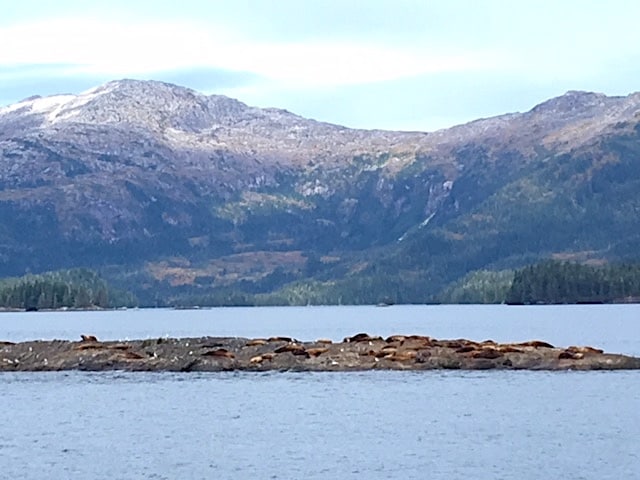 IMG_5992.JPG