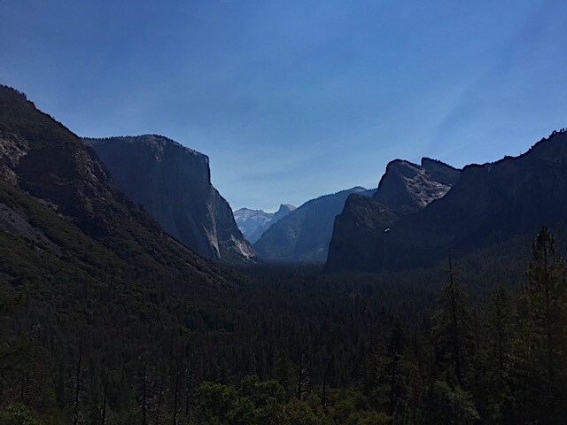 IMG_2855.JPG