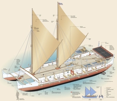 Hokulea-Diagram.jpg