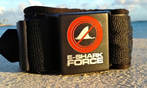 esharkforce-image1.jpg