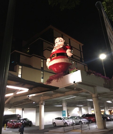 IMG_3213.jpeg