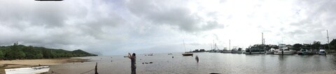 IMG_8682.jpeg