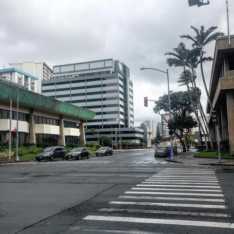 24505D50-8065-4D53-B16D-85B96AD36049.jpeg