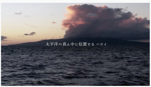 スクリーンショット 2020-05-01 午後11.19.52.png
