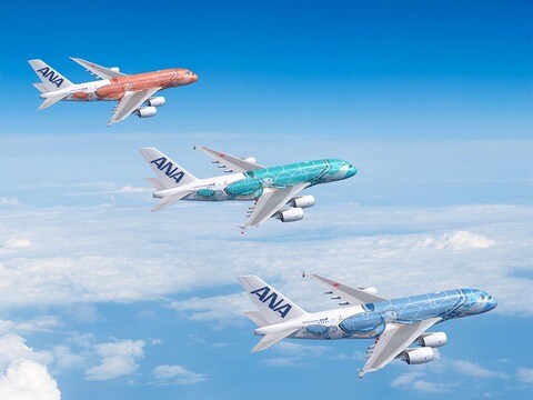 ana-a380-flying-honu.jpg