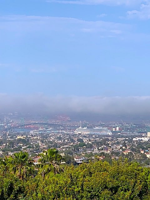 IMG_5946.jpg