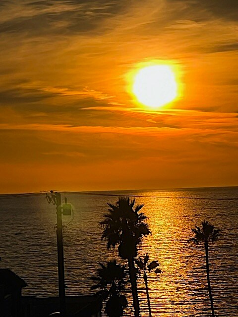 IMG_1980.jpg