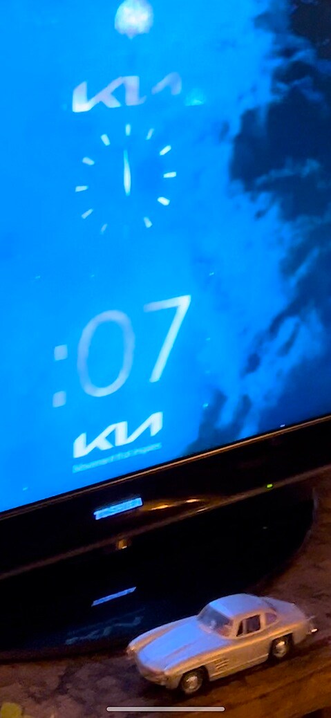 最新の写真を表示.jpeg