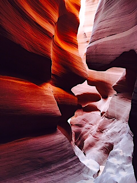ANTELOPE LOWER