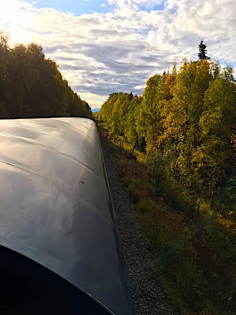 NORTH BOUND