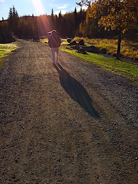 COUNTRY LIFE