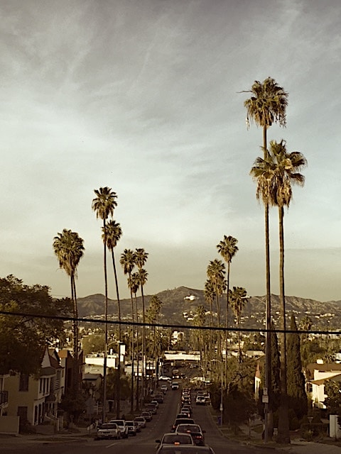 GOOD MUSIC FROM LA