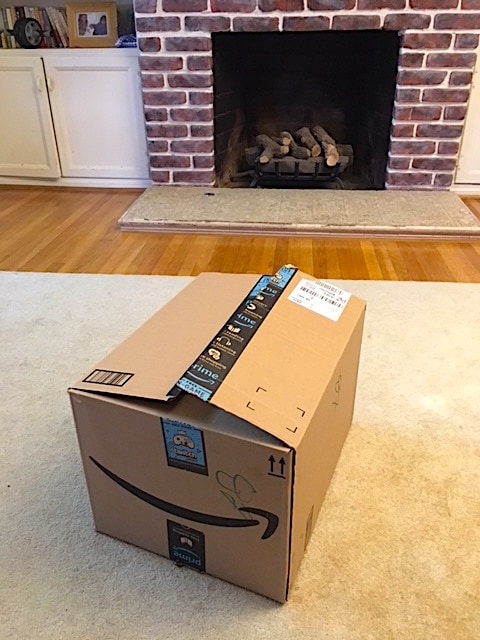 AMAZON ERA