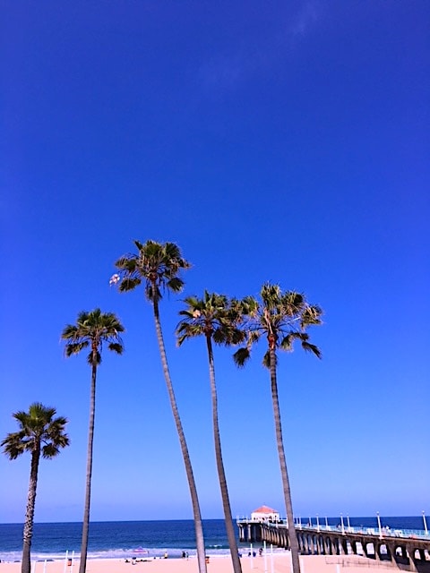 GOOD MUSIC FROM LA