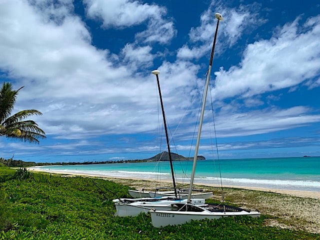 SUMMER BREEZE FROM HAWAII