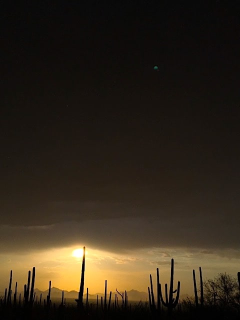 GOOD MUSIC FROM CACTUS DESERT