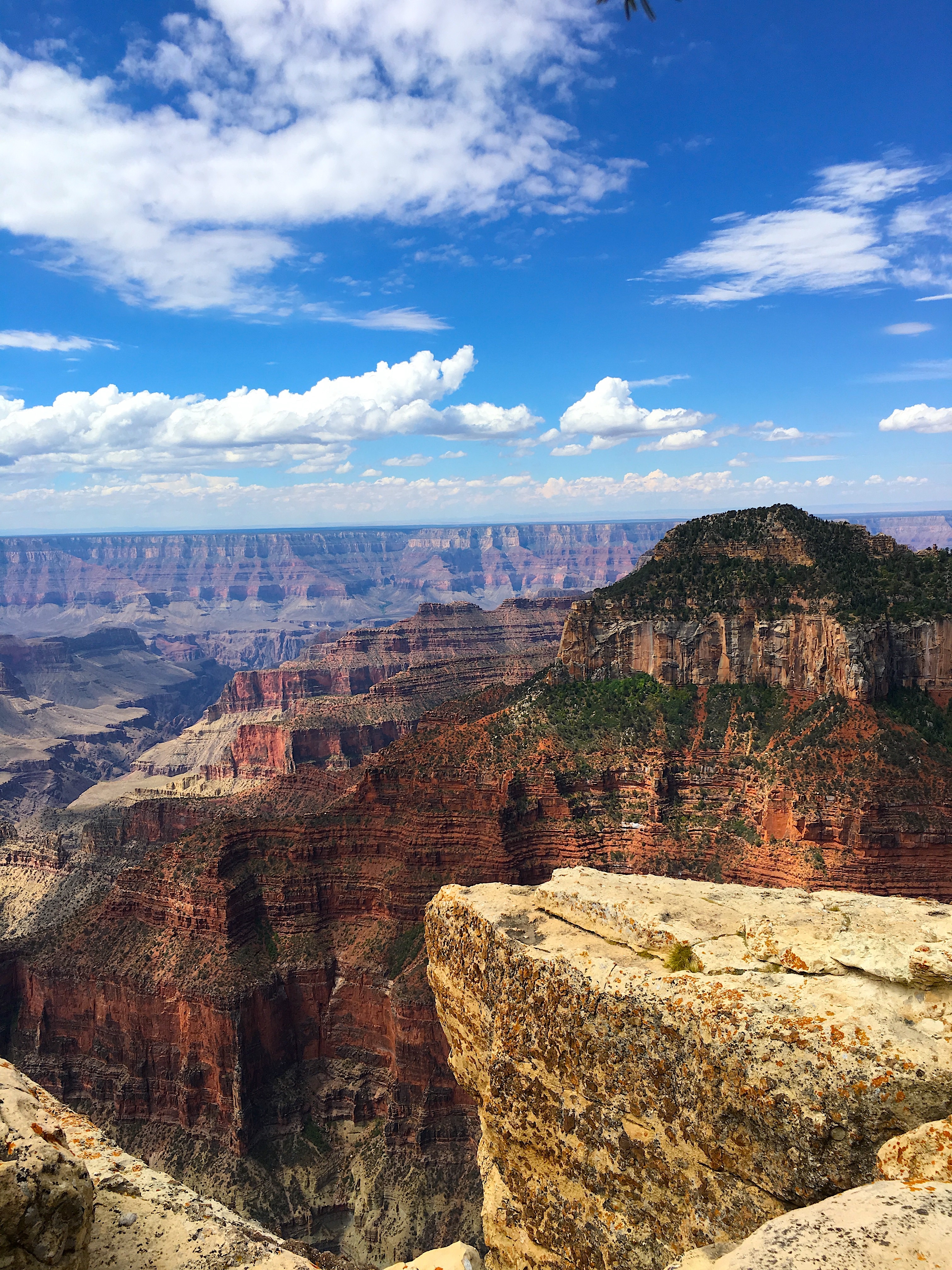 NORTH RIM