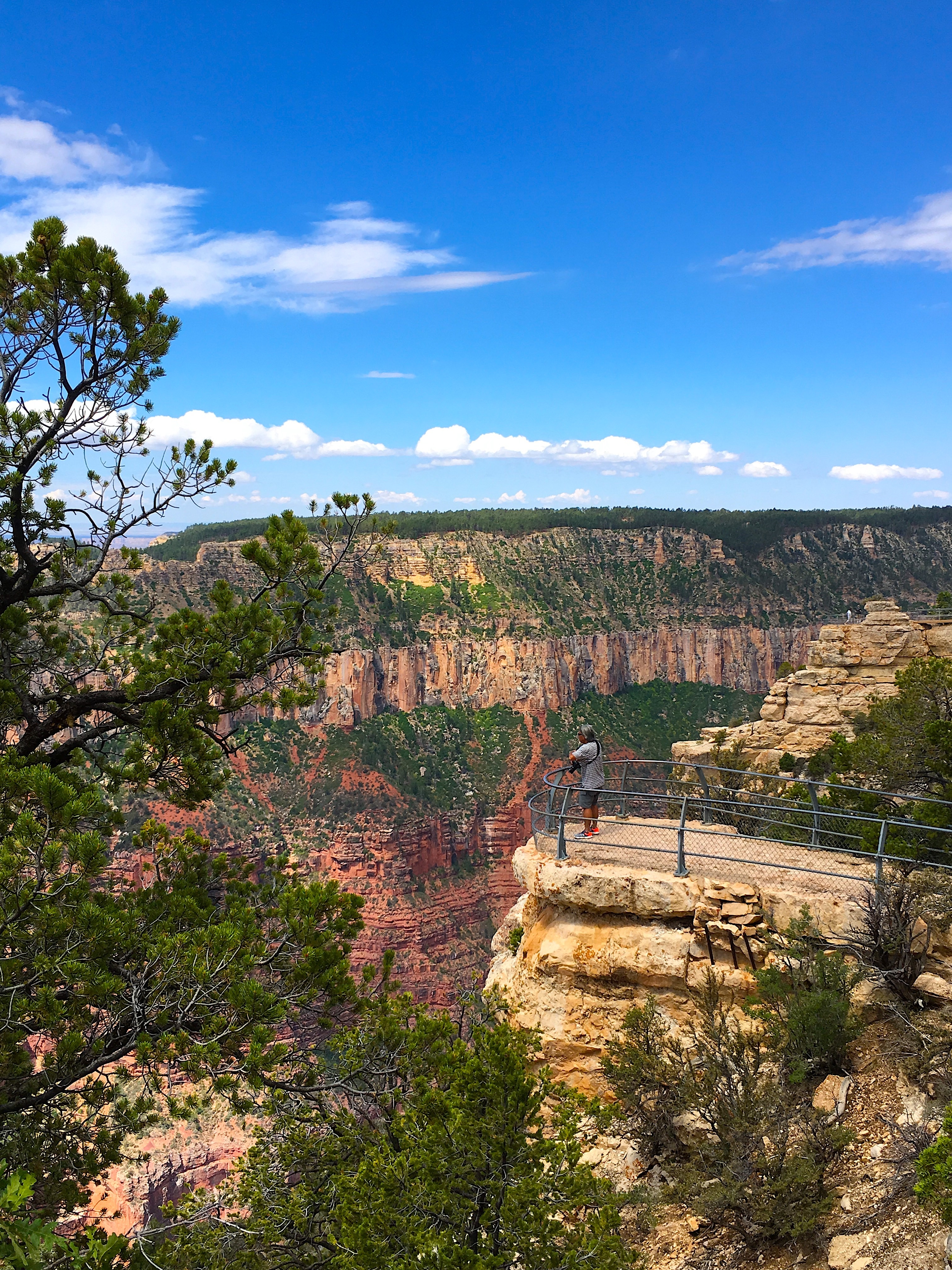 THE CANYON