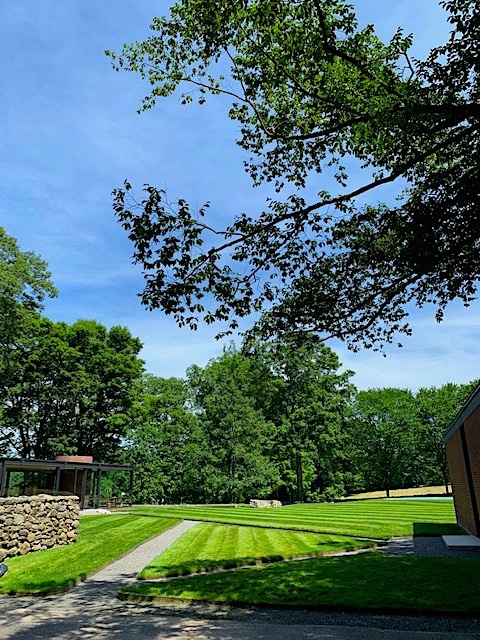 THE GLASS HOUSE