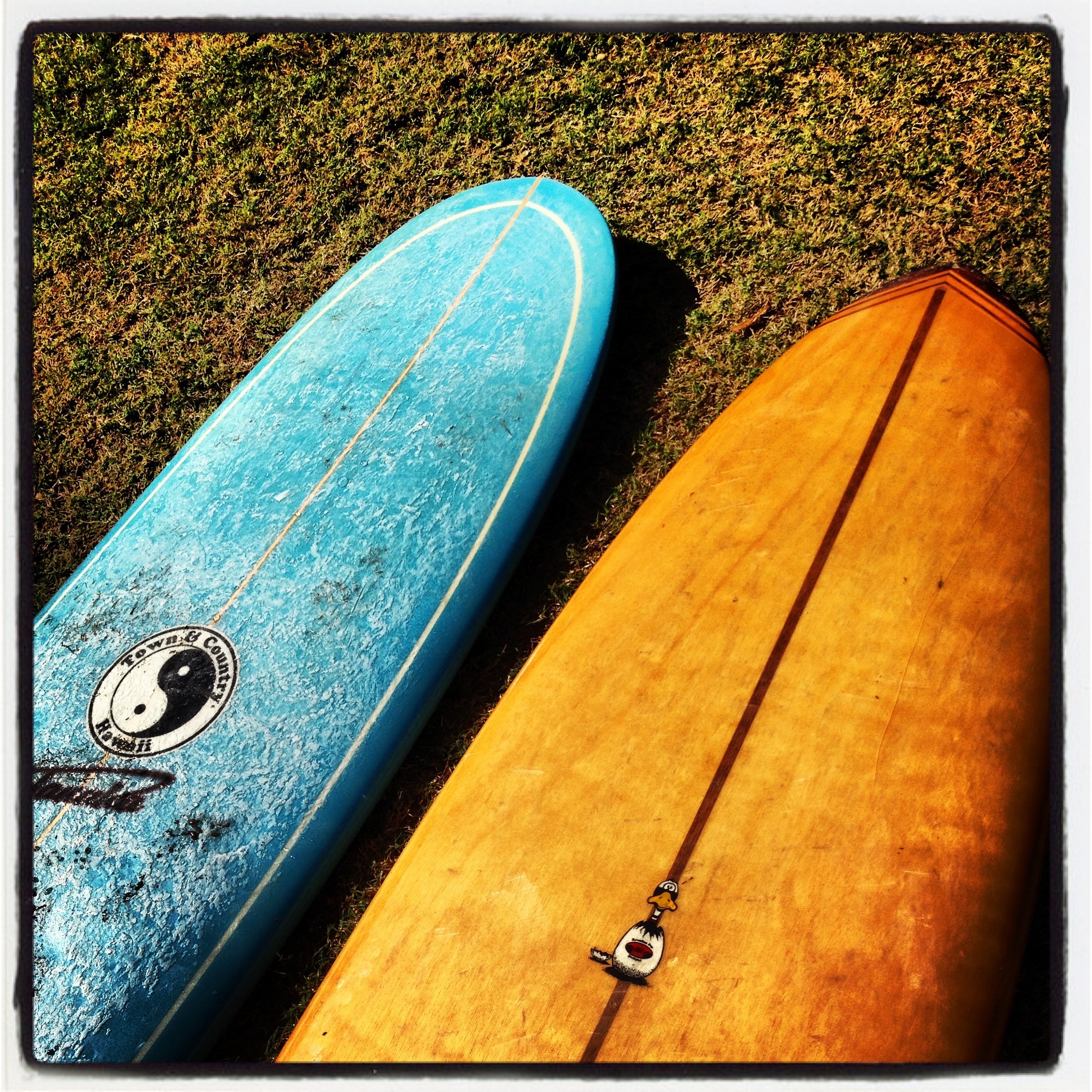 statewide policy on the voluntary use of facemasks