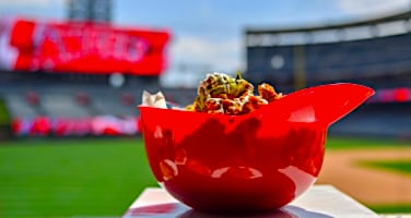 GOOD LUNCH FROM BALL PARK
