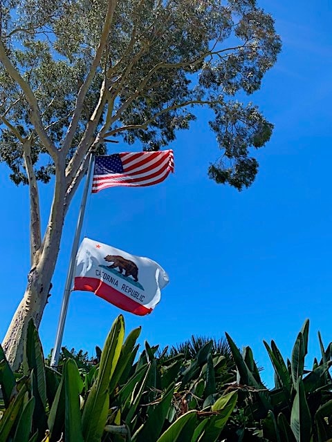 GOOD LUNCH FROM LOS ANGELES 