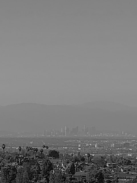 LOCKDOWN : LOS ANGELES