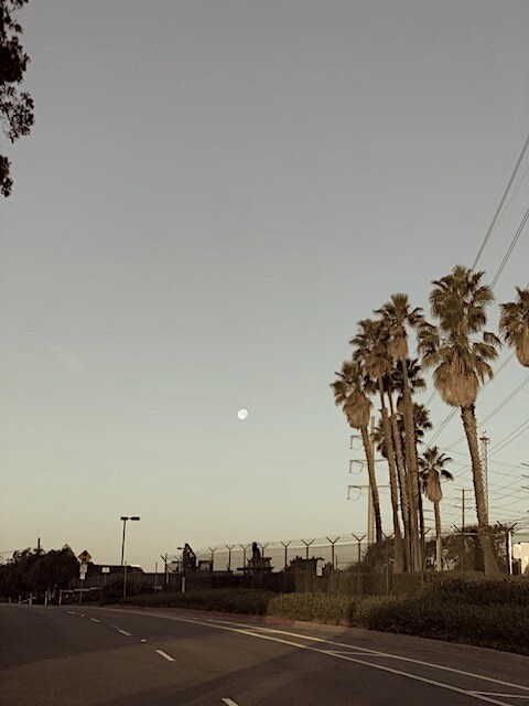 GOOD MUSIC FROM LOS ANGELES