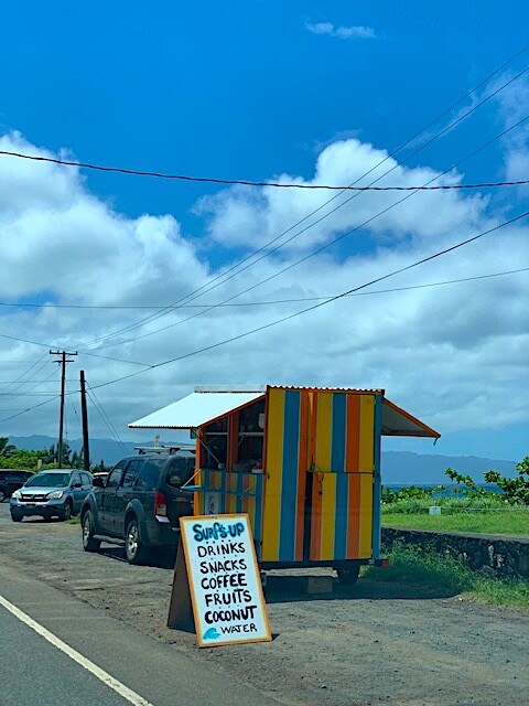 GOOD MUSIC FROM HAWAII