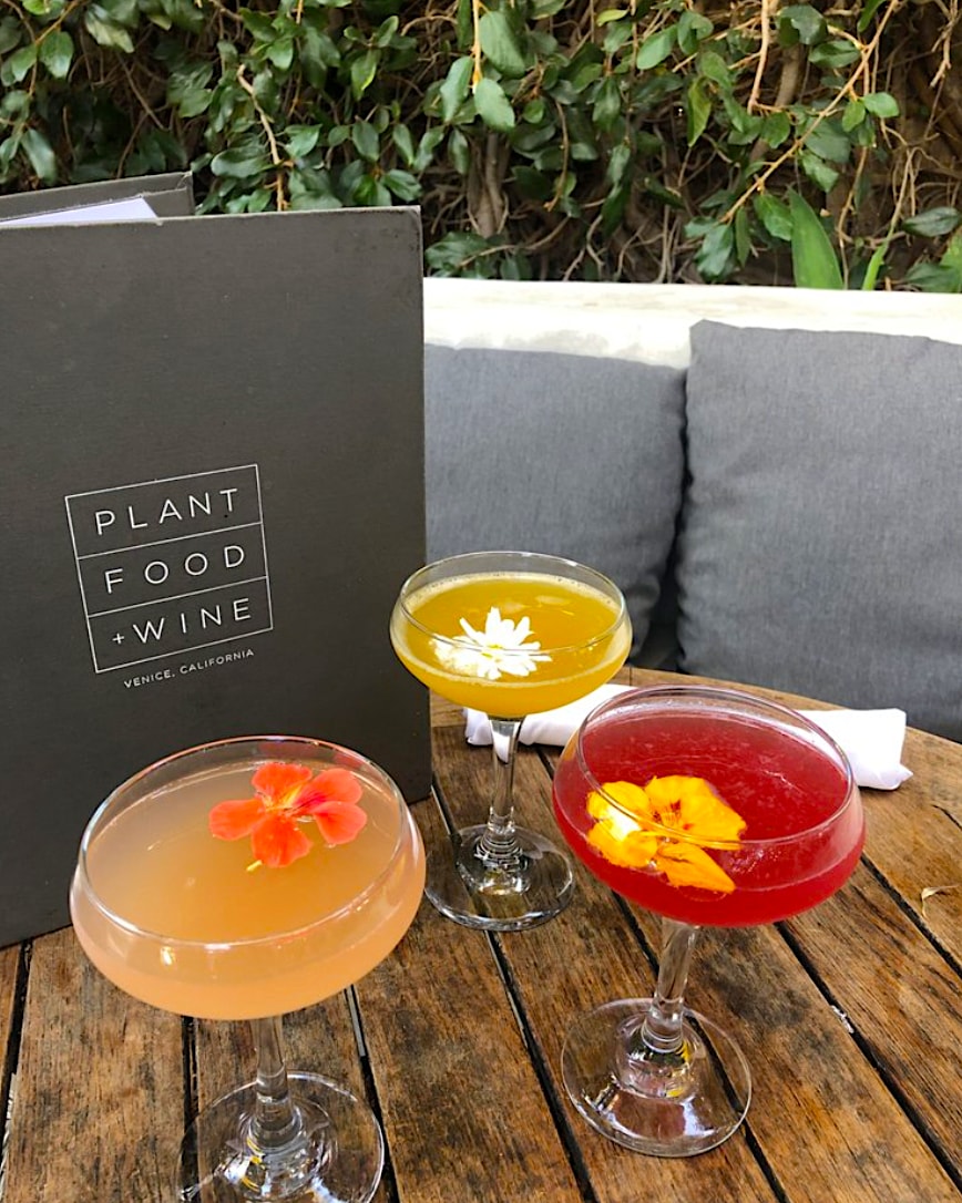 FINE DINING FROM VENICE BEACH